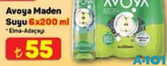 AVOYA MADEN SUYU 6X200 ML